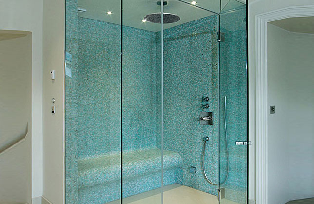 Frameless shower Partitions